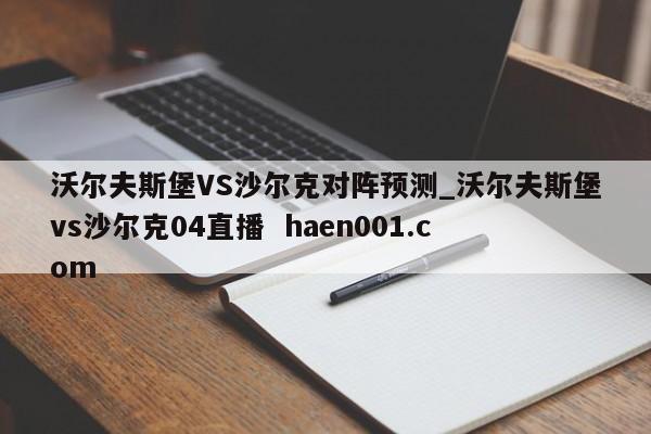 沃尔夫斯堡VS沙尔克对阵预测_沃尔夫斯堡vs沙尔克04直播 haen001.com